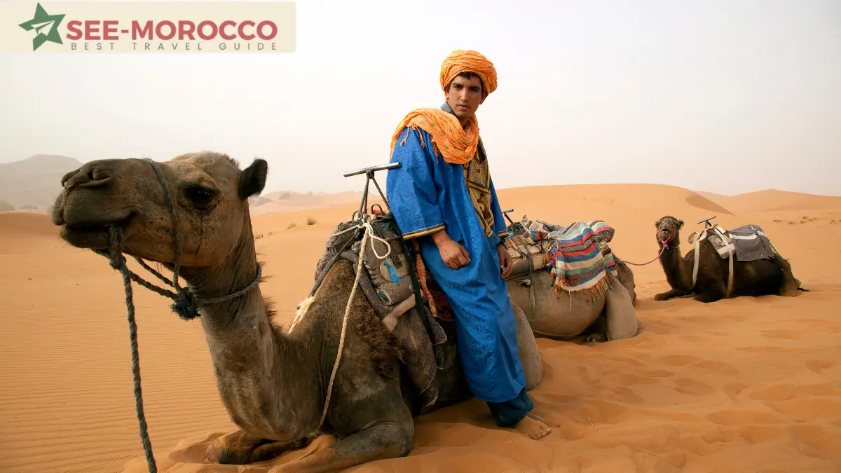 Berber camel guide with caravan in the Morocco desert at Erg Chebbi