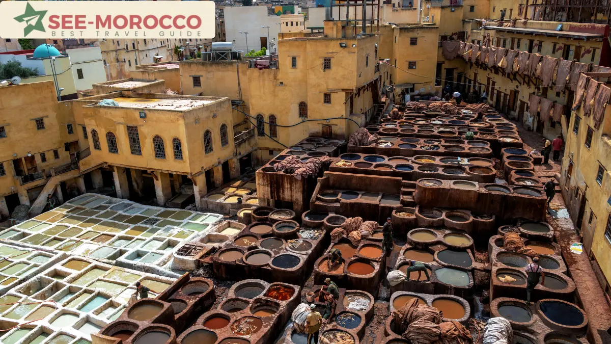 Aerial view of Chouara Tannery's colorful honeycomb dye vats in Fez