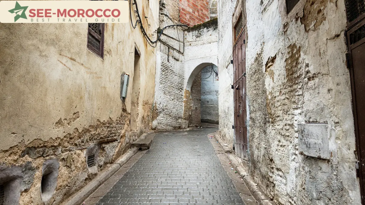 Narrow winding alley in Fez el-Bali medina with shops on both sides