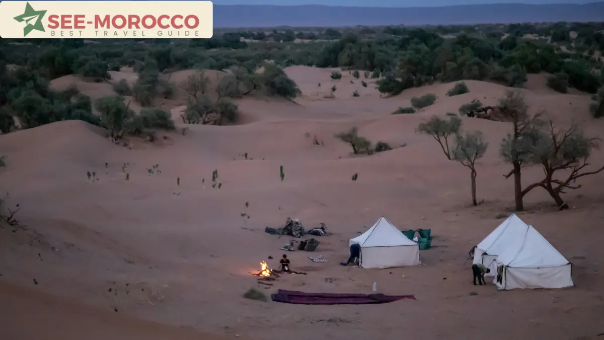 Traditional desert camp in the Morocco Sahara near Merzouga