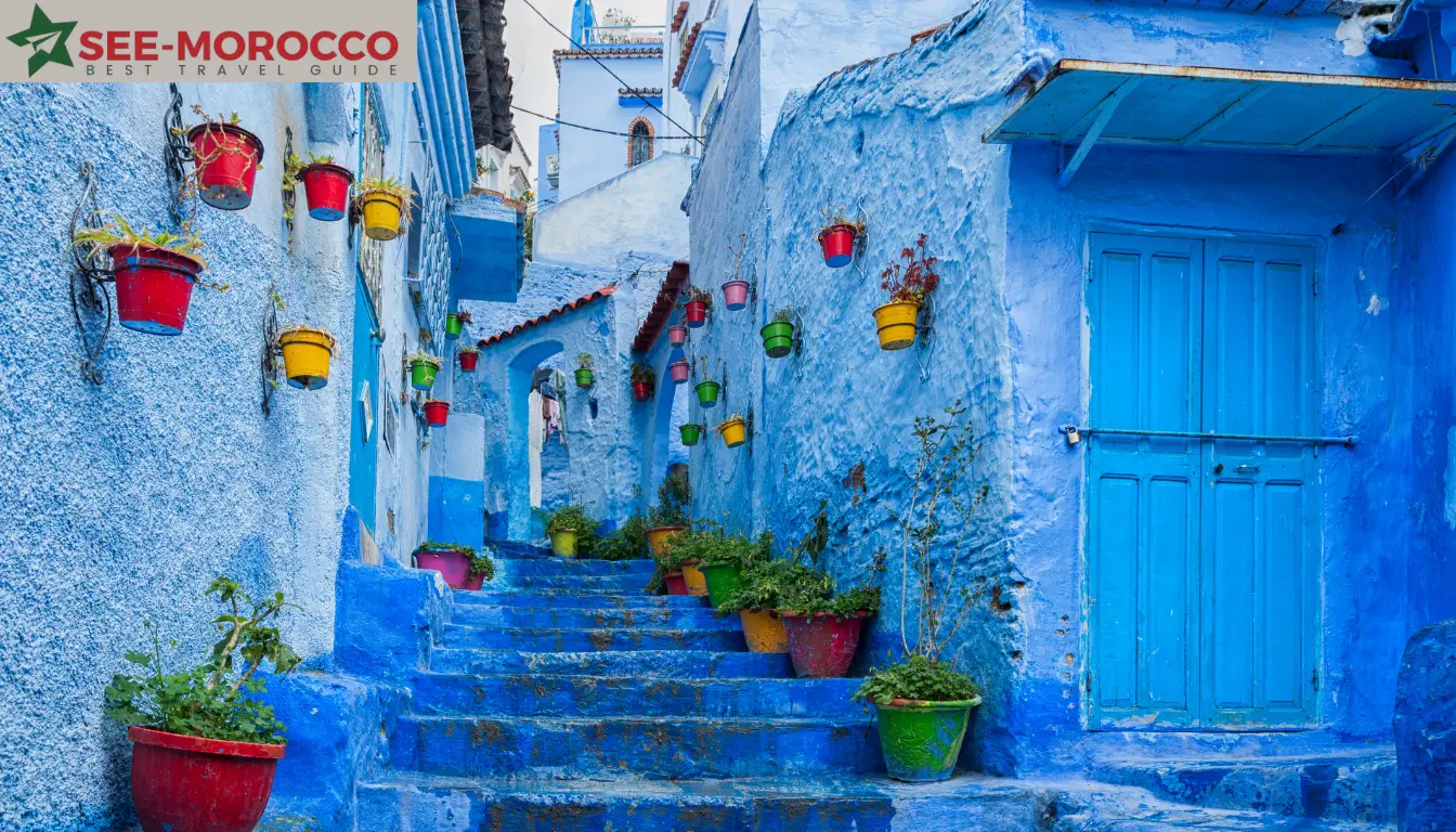 Chefchaouen blue painted stairs colorful flower pots medina Morocco