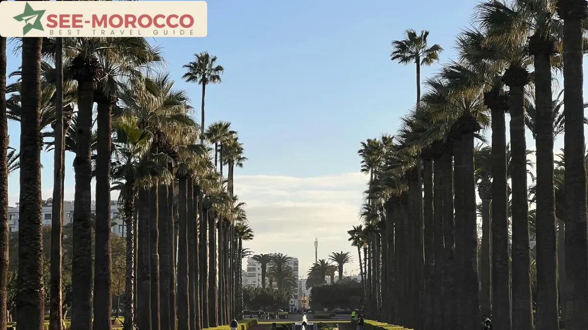 Arab League Park palm trees fountain boulevard downtown Casablanca Morocco
