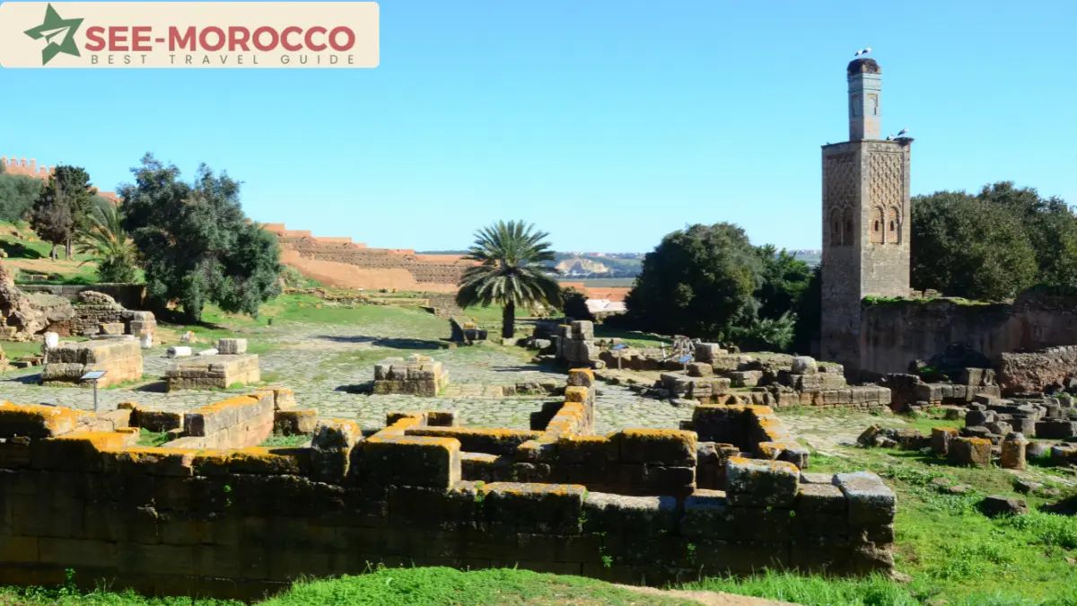 Chellah ancient ruins with minaret and storks Rabat Morocco