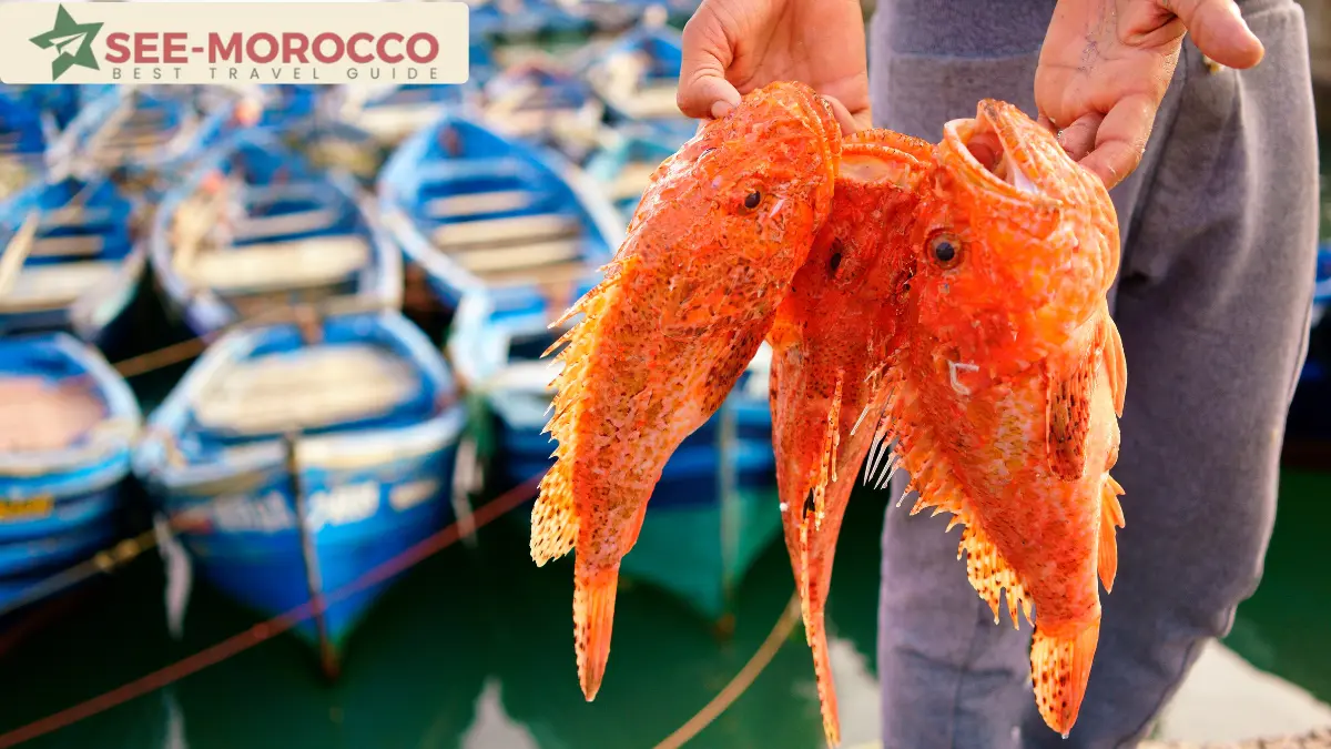 fresh fish caught at Essaouira fishing port Morocco coast