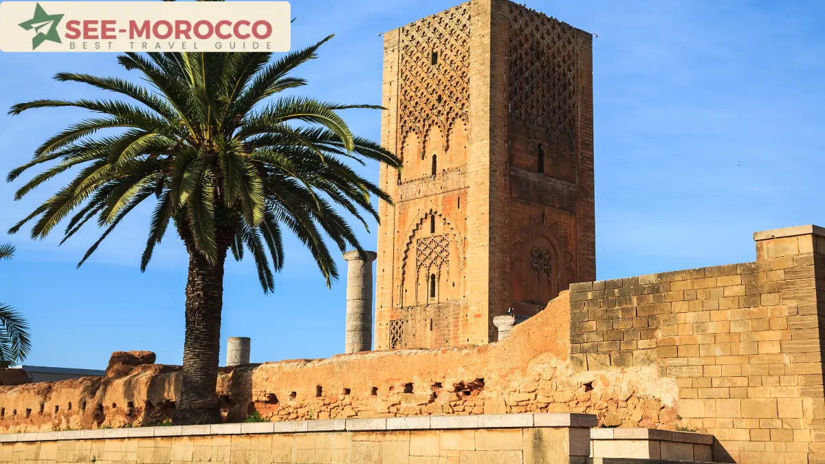 Hassan Tower Rabat Morocco with palm tree