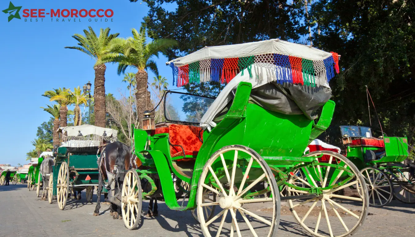 sustainable transportation in morocco