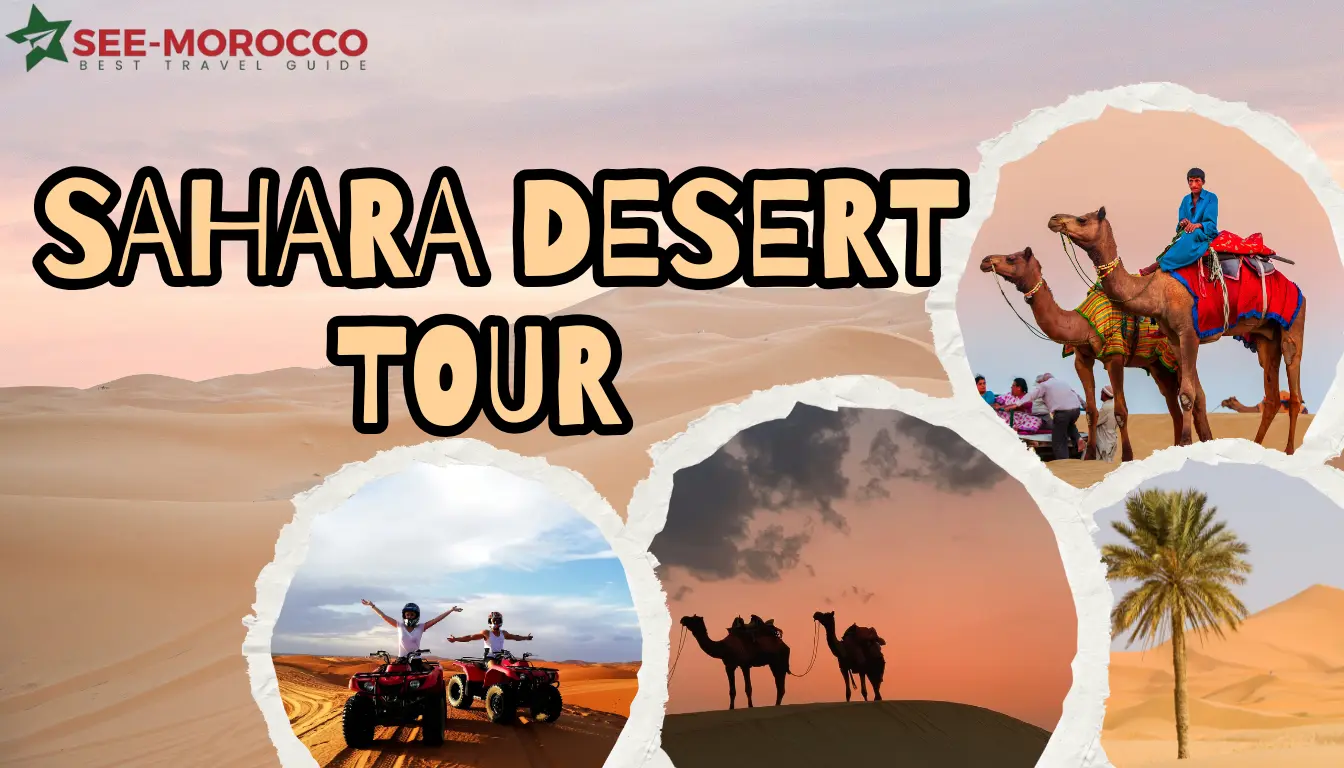Sahara Desert Tour