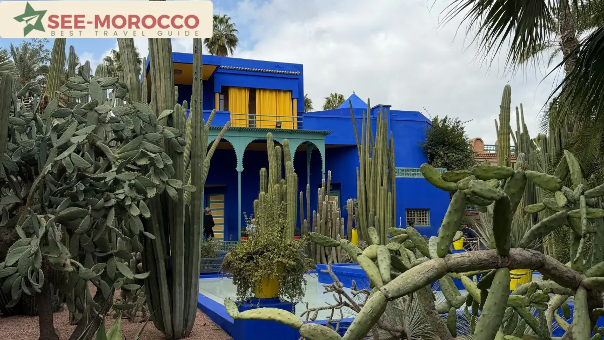 Jardin Majorelle Marrakech — the famous cobalt blue villa among cactus plants