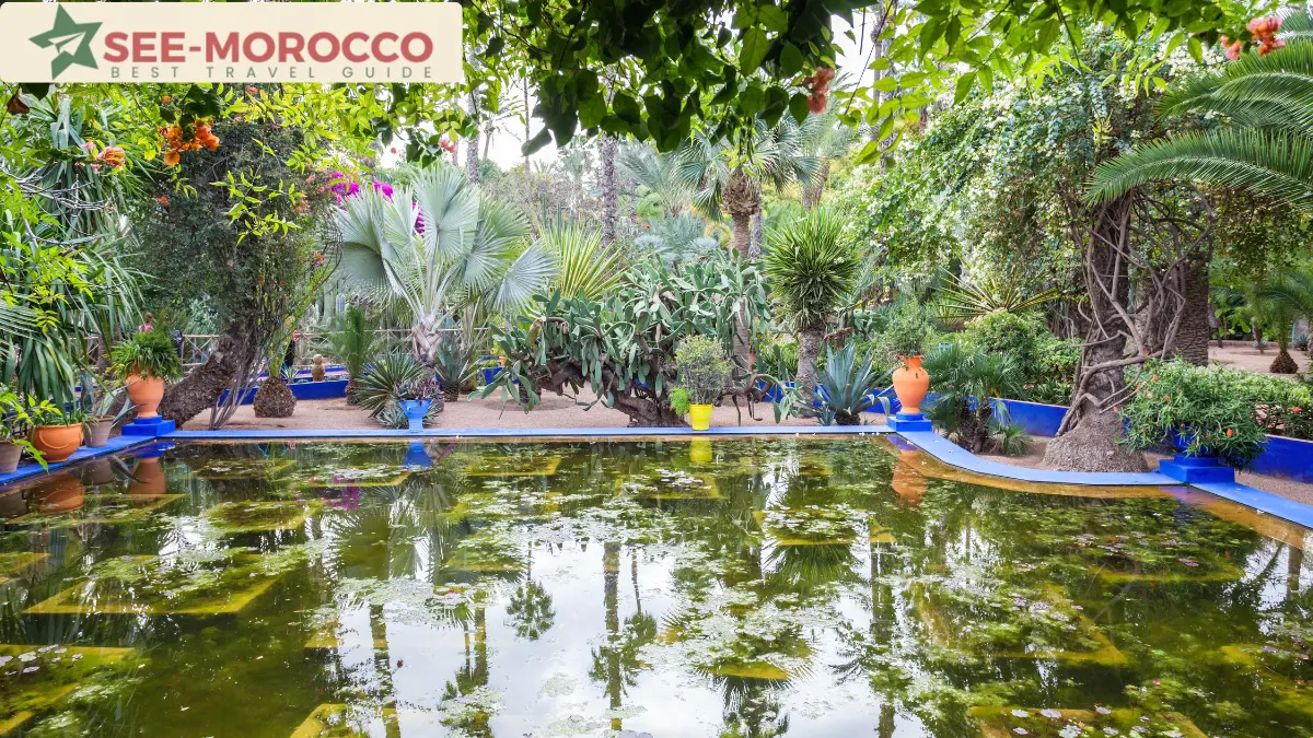 Reflecting pond surrounded by plants in the Jardin Majorelle Marrakech