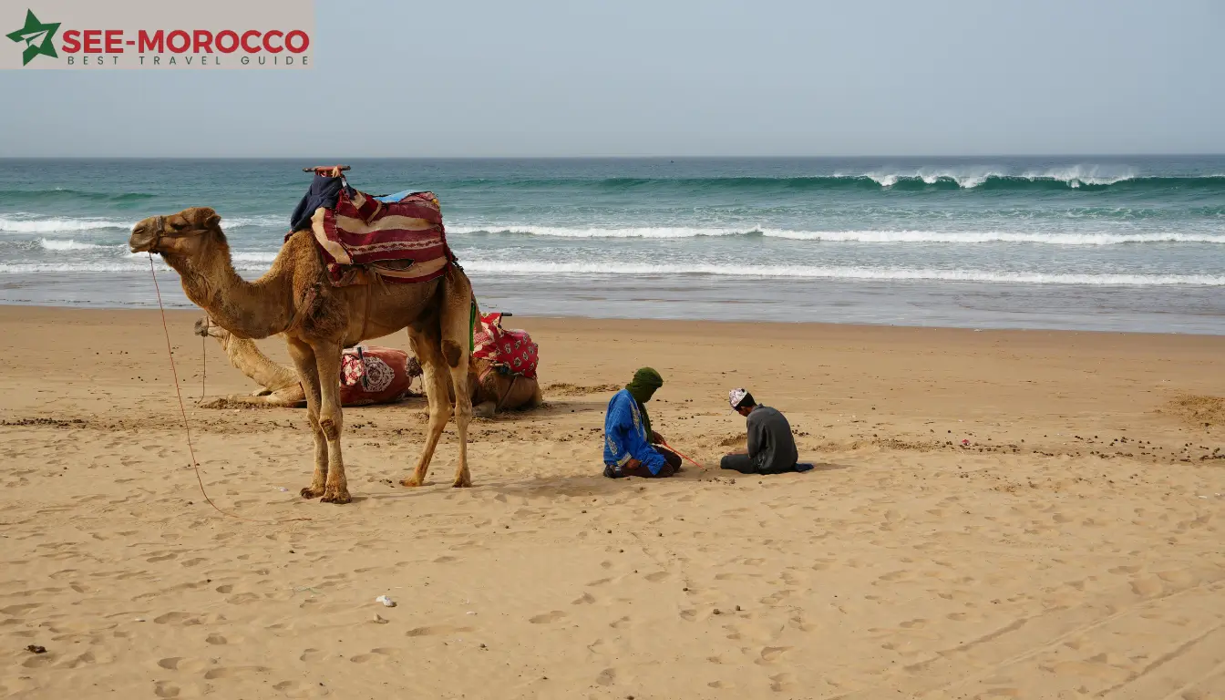 things to do in agadir