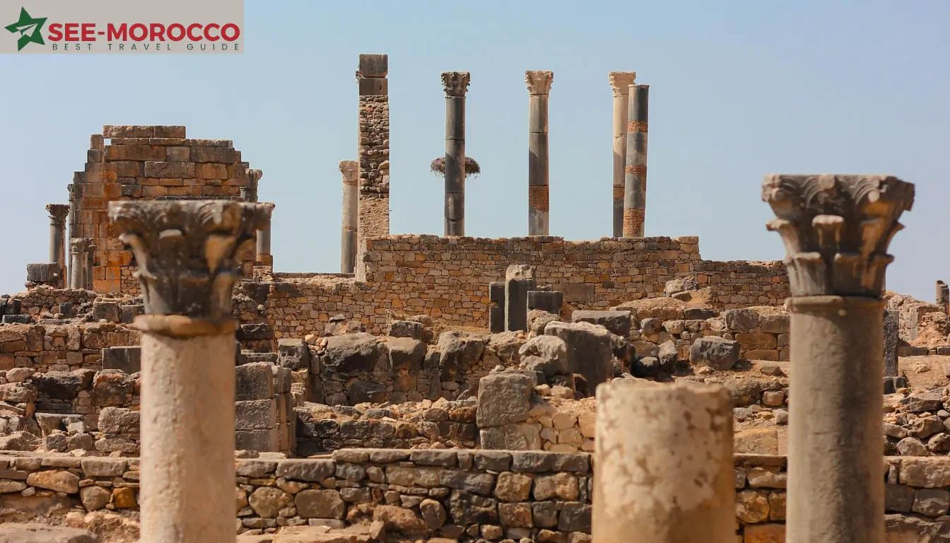 volubilis archaeological site