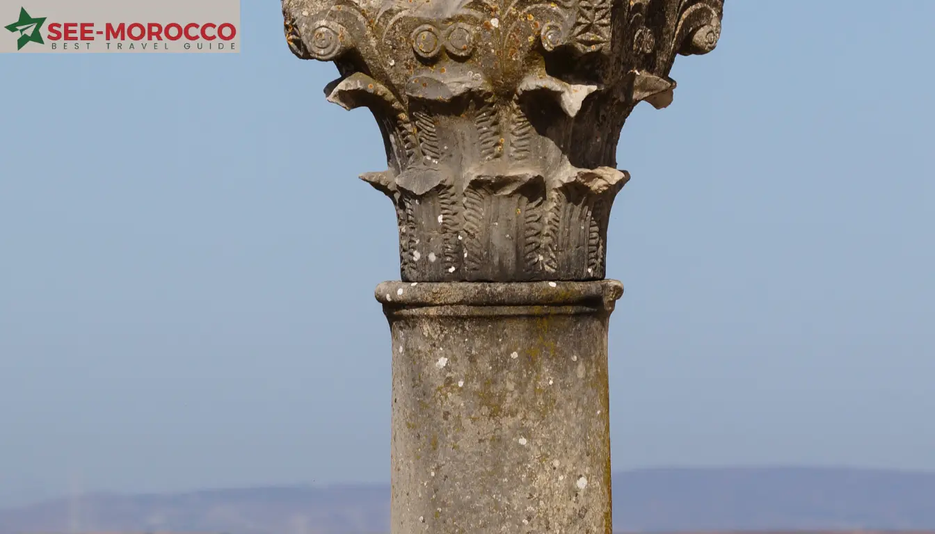volubilis architecture