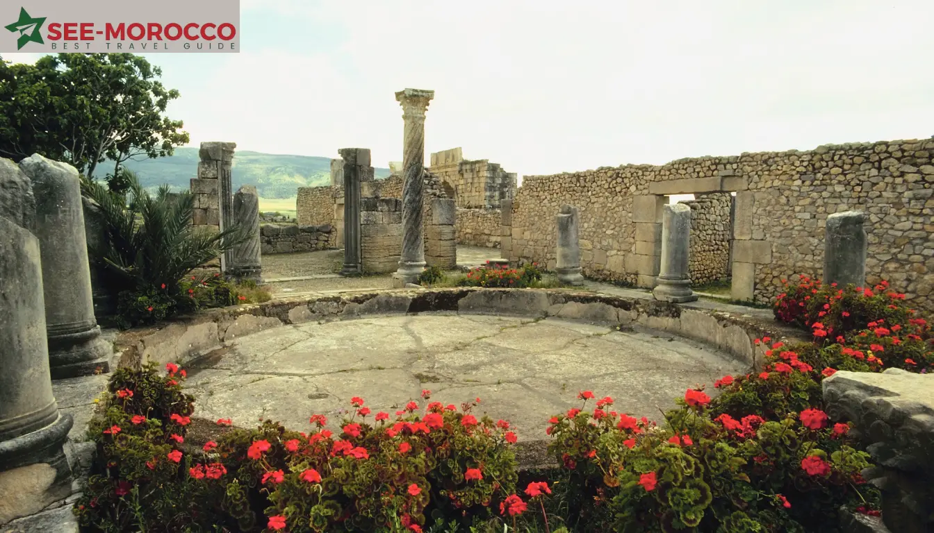 volubilis cultural fusion
