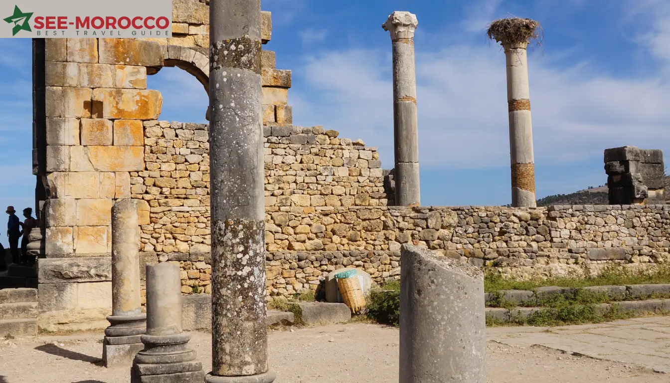 volubilis ruins
