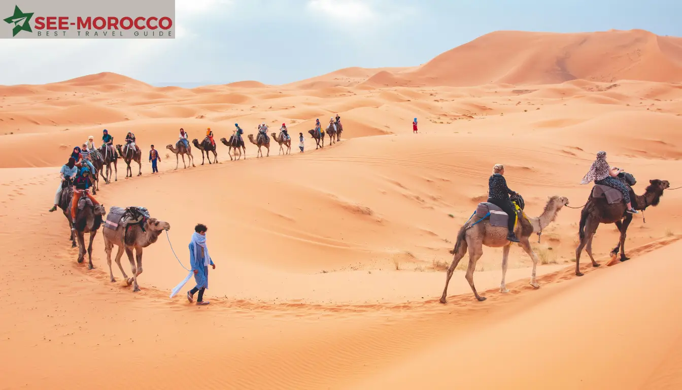 Camel trekking in Merzouga
