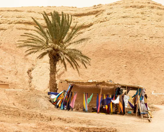 Exploring the Ancient Berber Culture -1st And Best Guide-