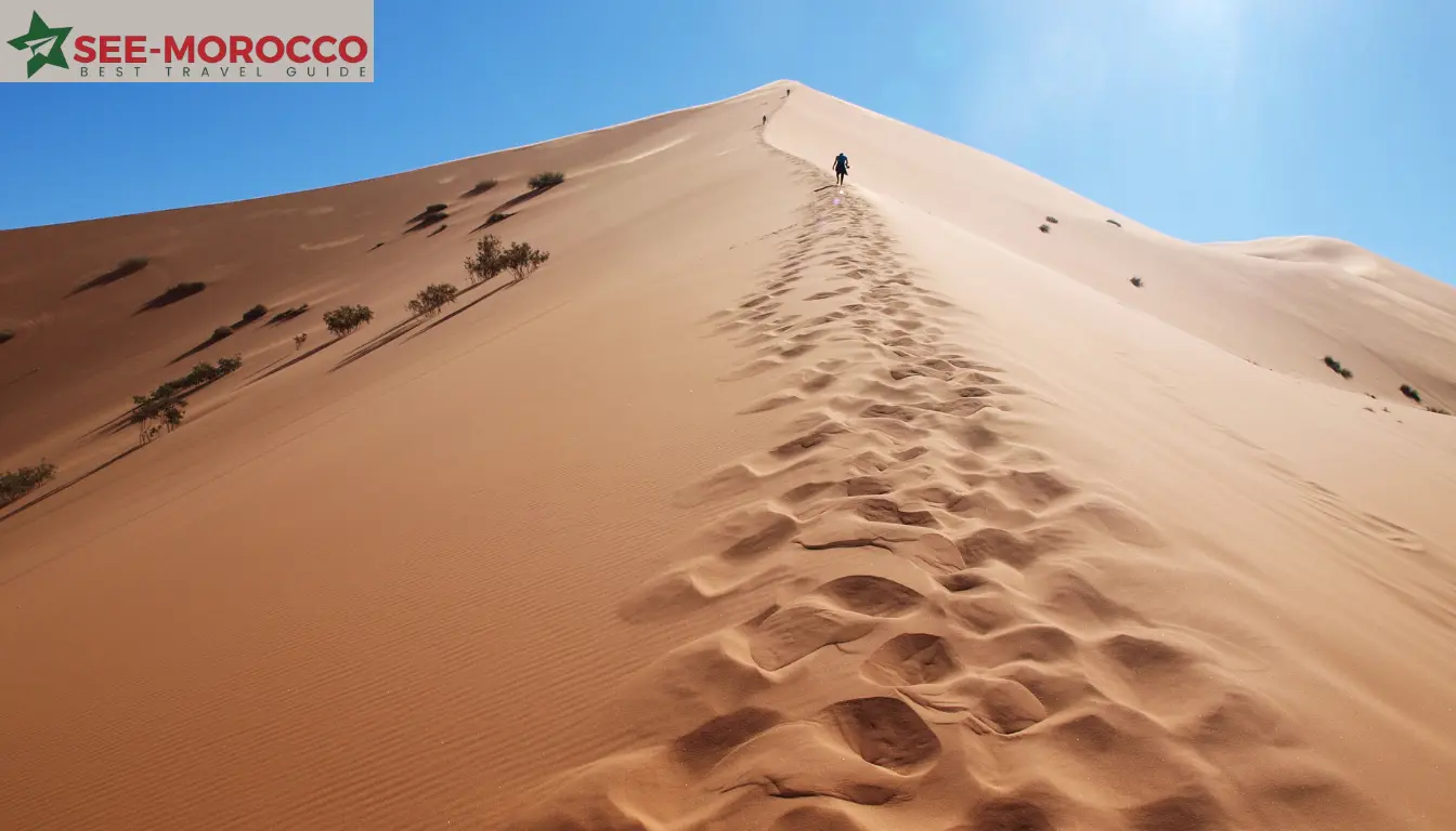 Merzouga desert