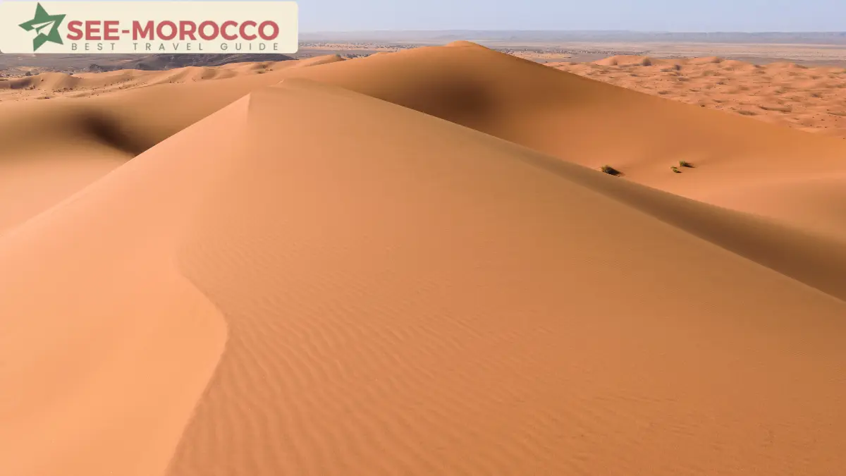 Erg Chebbi orange sand dunes aerial view Merzouga Morocco