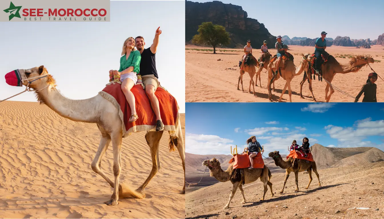 Camel trekking Sahara desert Morocco 7 day itinerary