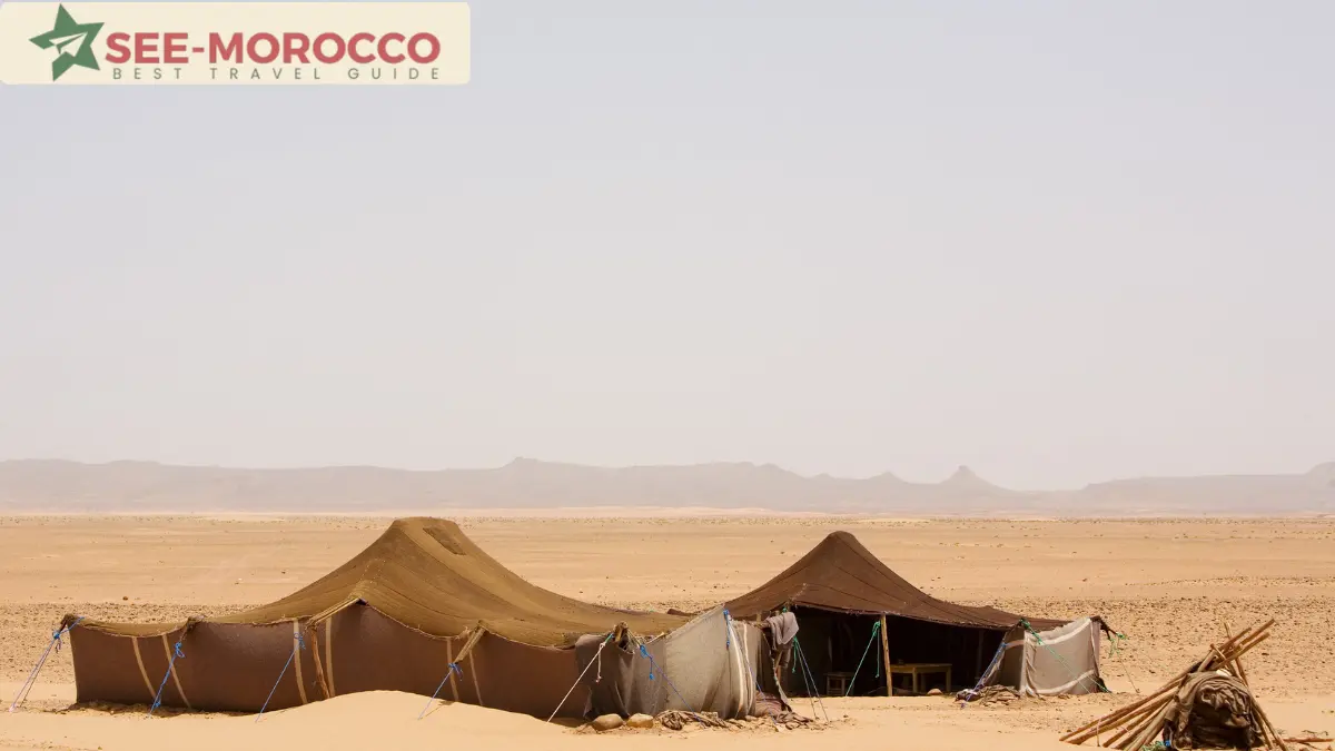 Traditional nomad tent camp in the open desert south of Ouarzazate