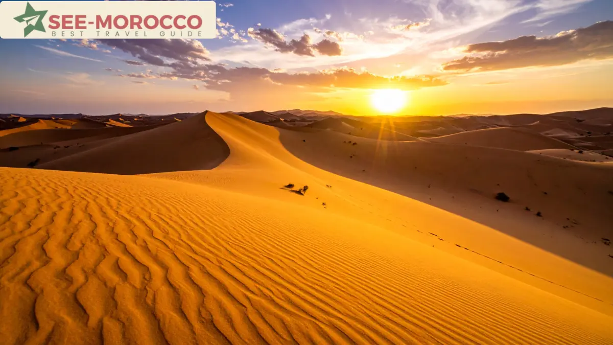 Golden sunset over the Sahara dunes near Merzouga in October