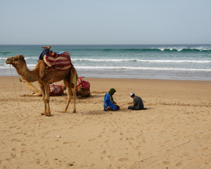 things to do in agadir morocco