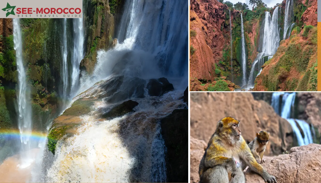 Ouzoud waterfalls costs