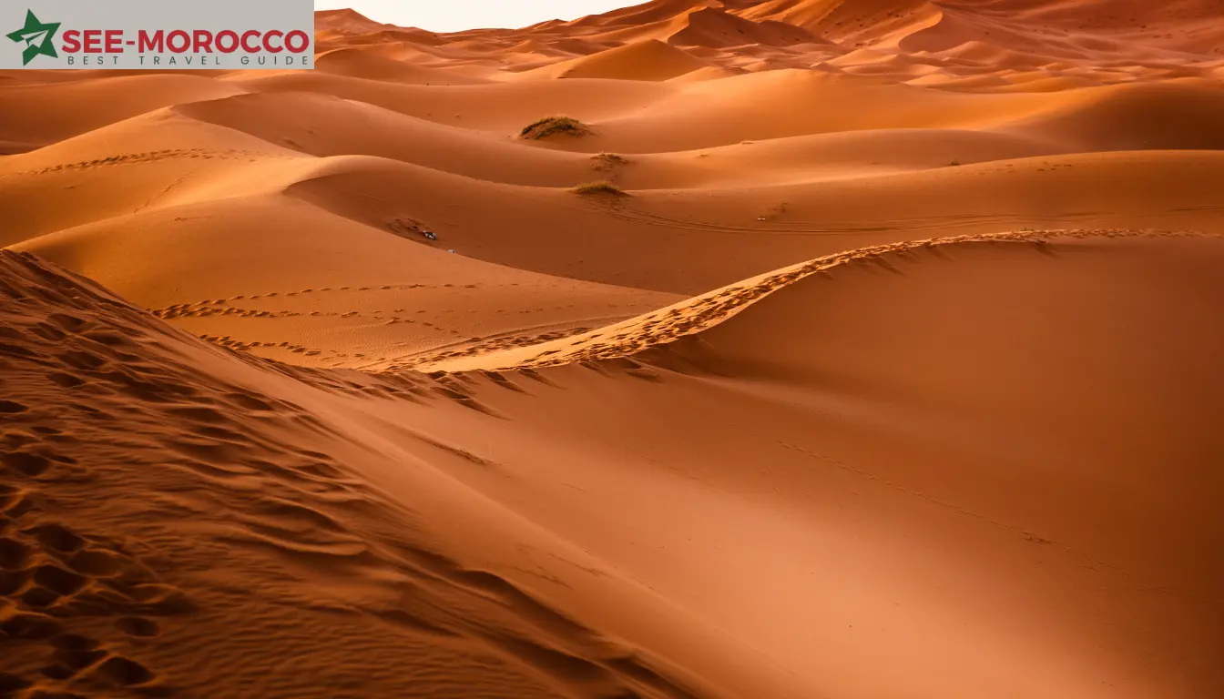 agafay desert morocco