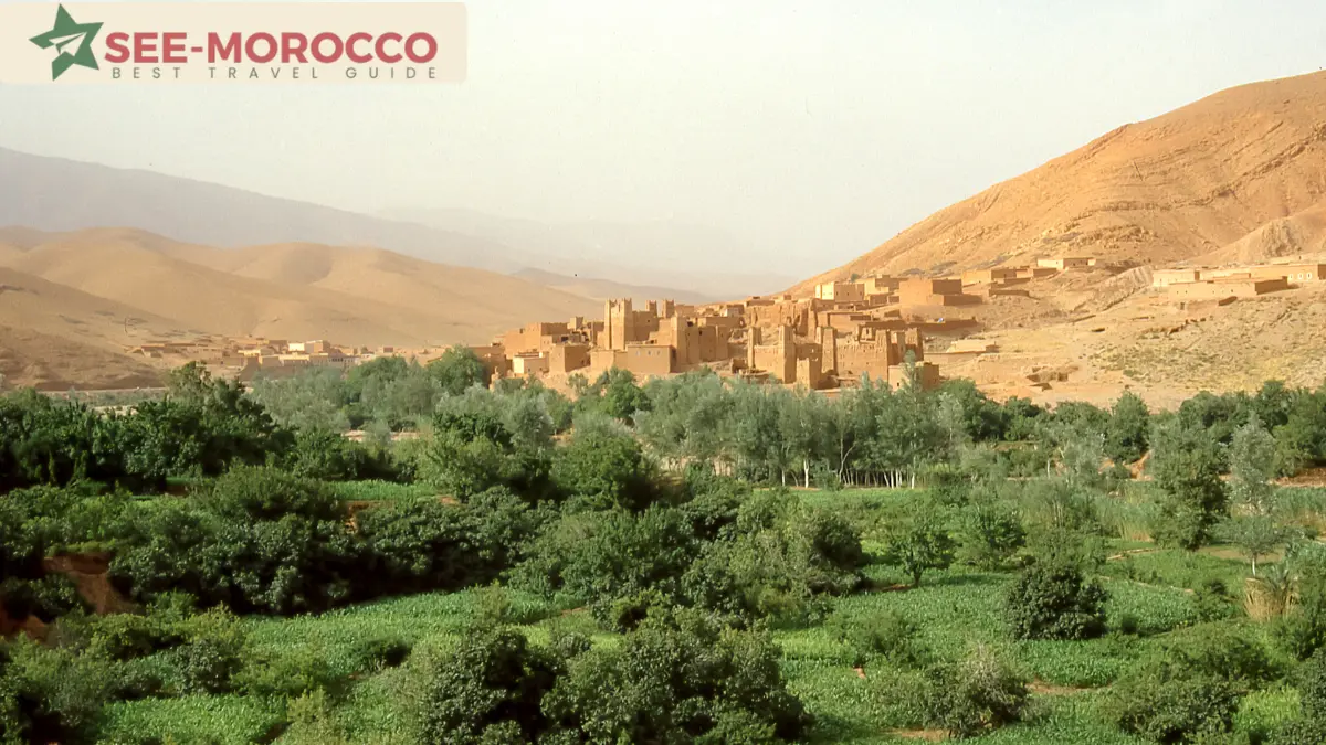 Mud-brick kasbah village among palm groves in the Draa Valley near Zagora