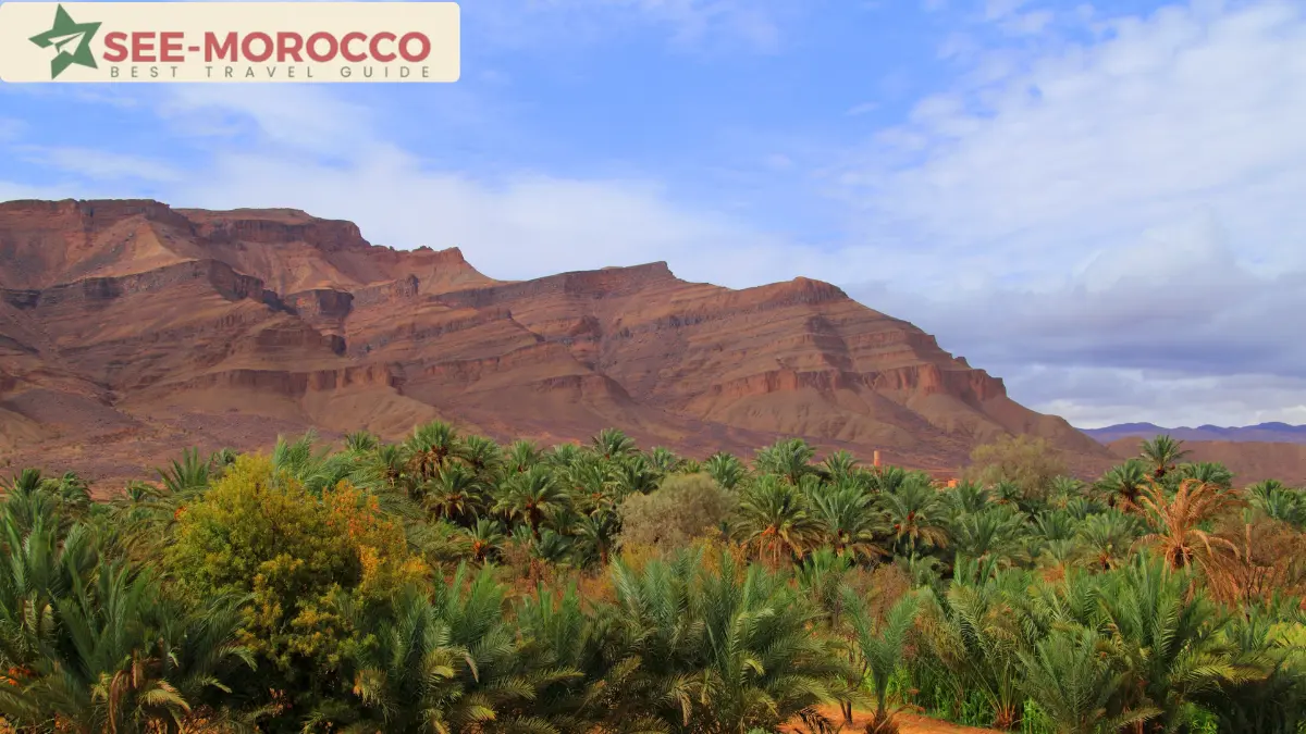 Palm oasis and mountains along the Draa Valley near Zagora Morocco