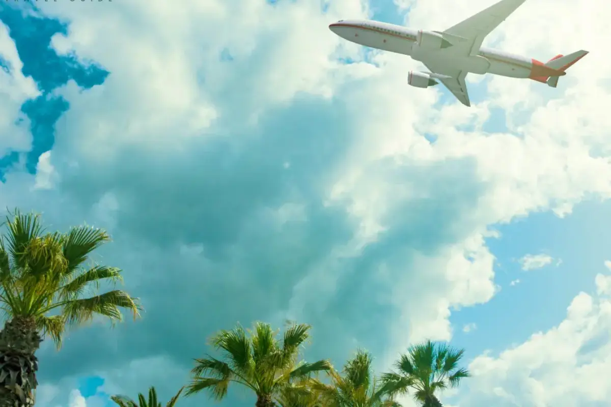 Flights to Morocco — airplane flying over palm trees on approach to Moroccan airport