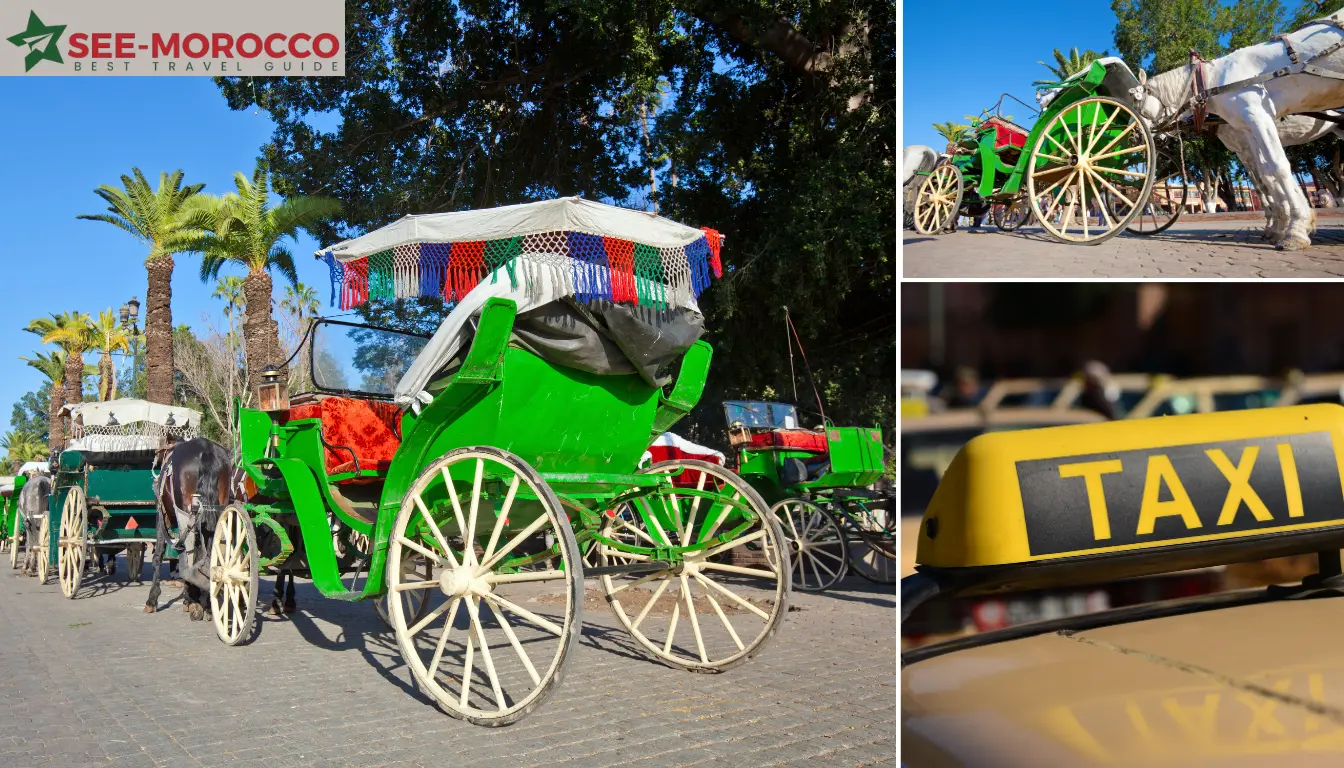 marrakech transportation