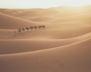 Morocco tours — camel caravan crossing Sahara desert at sunset Erg Chebbi